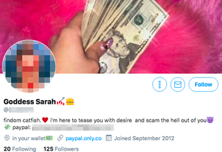 Illustration for article titled Catfish Fetishists: The Men Who Get Off on Getting Scammed Online